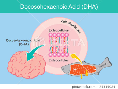 Docosohexaenoic acid (DHA). Illustration showing about benefit of DHA acid to a kid brain cells. Docosohexaenoic acid (DHA). Illustration showing about benefit of DHA acid to a kid brain cells. 85345084
