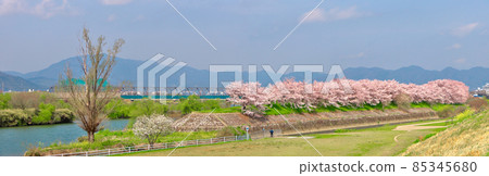 是桂川和天神川的瀨割亭東南側的隱匿點，隧道狀櫻花樹的隱匿點。 85345680