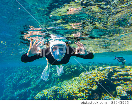 girl is engaged in snorkeling in the sea. masked girl swims underwater girl is engaged in snorkeling in the sea. masked girl swims underwater 85345935