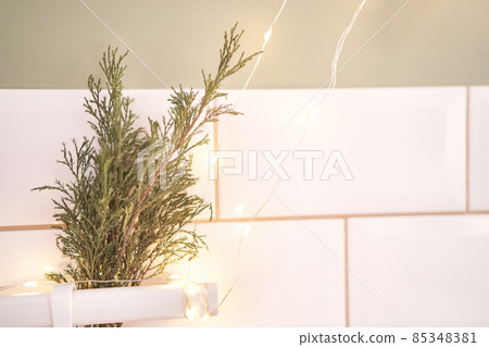 Trendy thuja flower. Bedroom interior design. Minimal bouquet. Grass decoration Trendy thuja flower. Bedroom interior design. Minimal bouquet. Grass decoration 85348381