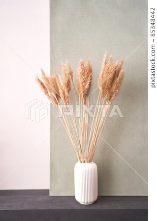 Trendy pampas flower. Bedroom interior design. Minimal bouquet Trendy pampas flower. Bedroom interior design. Minimal bouquet 85348442
