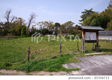 Daibutsudenato Ryokuchi Park 85348713