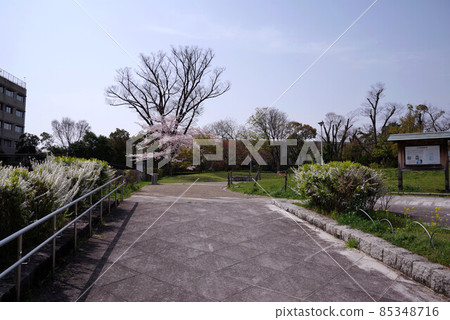 Daibutsudenato Ryokuchi Park 85348716