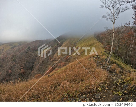 霧氣繚繞的笠丸山山路 霧氣繚繞的笠丸山山路 85349446