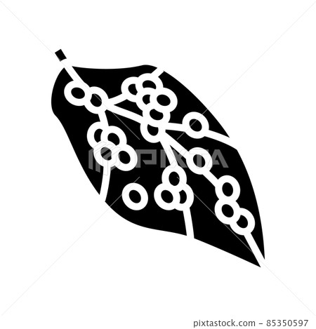 eggs silkworm glyph icon vector illustration 85350597