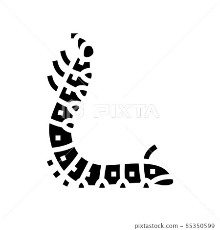 larvae silkworm glyph icon vector illustration larvae silkworm glyph icon vector illustration 85350599