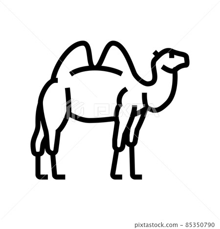 camel animal in zoo line icon vector illustration camel animal in zoo line icon vector illustration 85350790