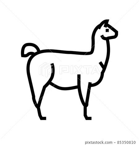 lama wild animal line icon vector illustration 85350810