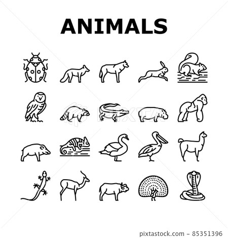 Wild Animals, Bugs And Birds Icons Set Vector 85351396