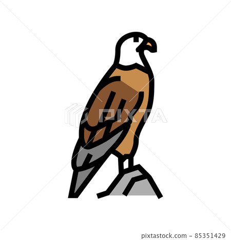 eagle bird in zoo color icon vector illustration 85351429