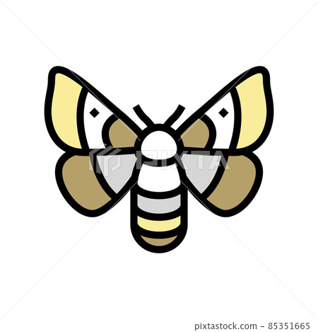 adult silkworm moths color icon vector illustration adult silkworm moths color icon vector illustration 85351665