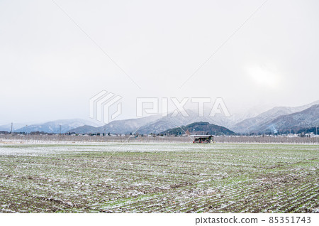 Snowy wheat field Snowy wheat field 85351743