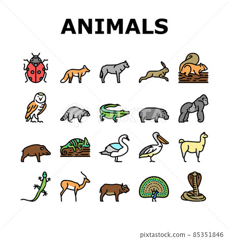 Wild Animals, Bugs And Birds Icons Set Vector 85351846