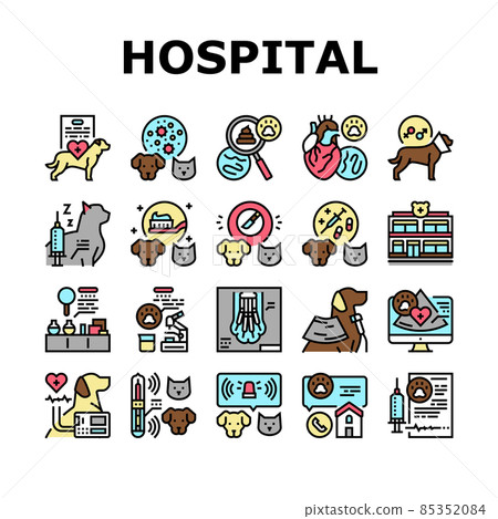 Hospital Pet Health Examination Icons Set Vector 85352084