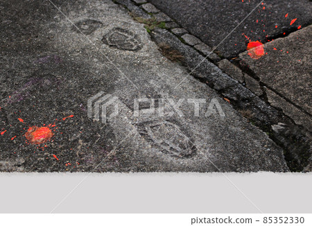 Footprints on the ground Footprints on the ground 85352330