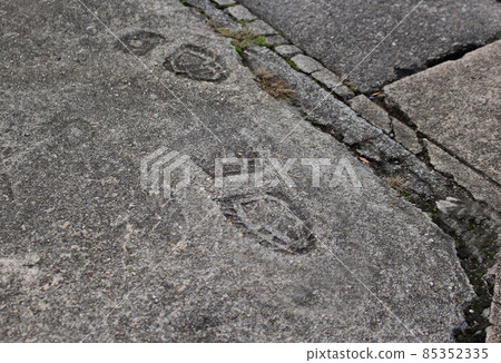 Footprints on the ground 85352335