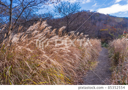 (群馬縣)赤城山大沼大沼天文台 / Kanto Fureai no Michi (群馬縣)赤城山大沼大沼天文台 / Kanto Fureai no Michi 85352554