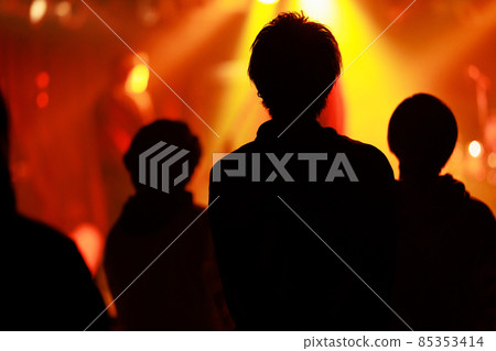 Fans cheering at the live house 85353414