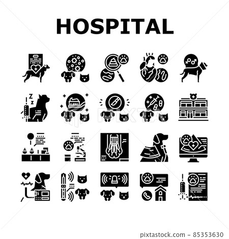 Hospital Pet Health Examination Icons Set Vector 85353630