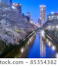 Meguro River and cherry blossoms at night 85354382