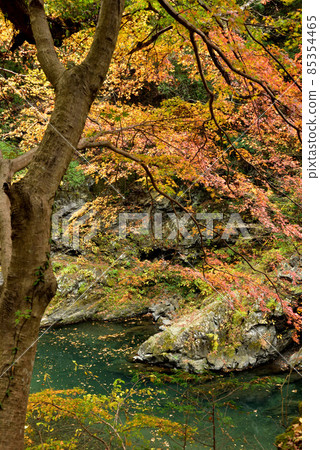 Autumn holidays in Okutama, the stunning autumn colors that can be seen in Tokyo 85354465