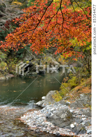 Autumn holidays in Okutama, the stunning autumn colors that can be seen in Tokyo Autumn holidays in Okutama, the stunning autumn colors that can be seen in Tokyo 85354477