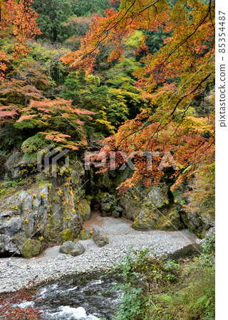 Autumn holidays in Okutama, the stunning autumn colors that can be seen in Tokyo Autumn holidays in Okutama, the stunning autumn colors that can be seen in Tokyo 85354487