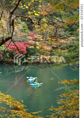 Autumn holidays in Okutama, the stunning autumn colors that can be seen in Tokyo 85354501