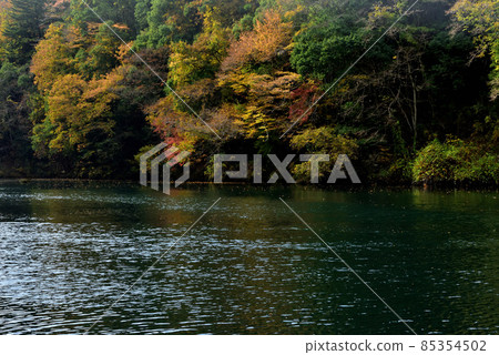 Autumn holidays in Okutama, the stunning autumn colors that can be seen in Tokyo 85354502