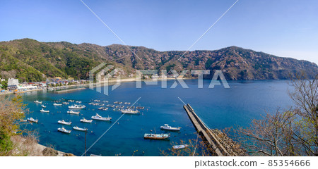 冬天櫻花樹的寺廟 冬天櫻花樹的寺廟 85354666