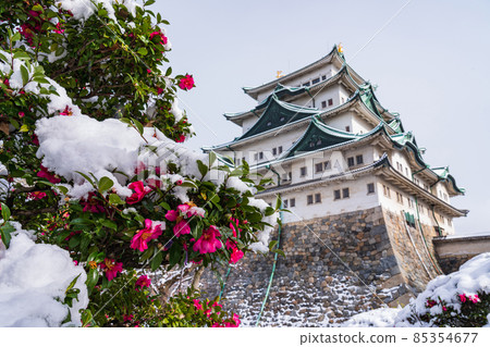 Snow Nagoya Castle <Nagoya City, Aichi Prefecture> Snow Nagoya Castle <Nagoya City, Aichi Prefecture> 85354677