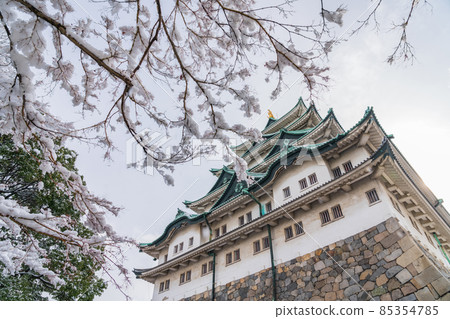 Snow Nagoya Castle <Nagoya City, Aichi Prefecture> 85354785