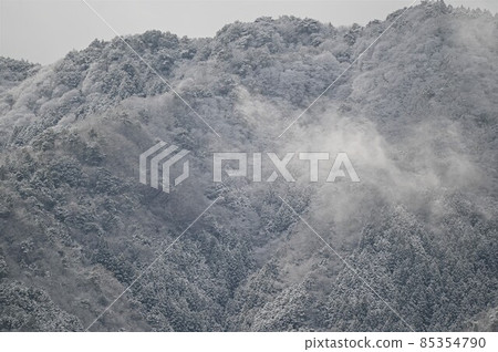 [Tamba City, Hyogo Prefecture] Snow-covered mountain 85354790