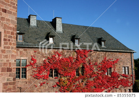 Castle 85355075