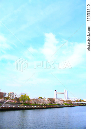 名古屋市春景、櫻花、世紀堂 名古屋市春景、櫻花、世紀堂 85355240