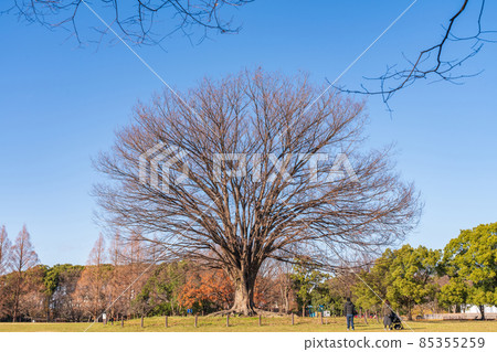 冬季莊內綠地公園 <愛知縣名古屋市> 85355259