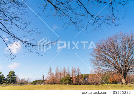Winter Shonai Ryokuchi Park <Nagoya City, Aichi Prefecture> 85355283