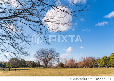 冬季莊內綠地公園 <愛知縣名古屋市> 冬季莊內綠地公園 <愛知縣名古屋市> 85355284
