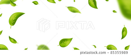 Green flying leaves frame. Fresh tea background. Leaf falling. Green foliage ornament. Vegan, eco, organic design element. Cosmetic pattern border. Beauty product. Vector illustration Green flying leaves frame. Fresh tea background. Leaf falling. Green foliage ornament. Vegan, eco, organic design element. Cosmetic pattern border. Beauty product. Vector illustration 85355989