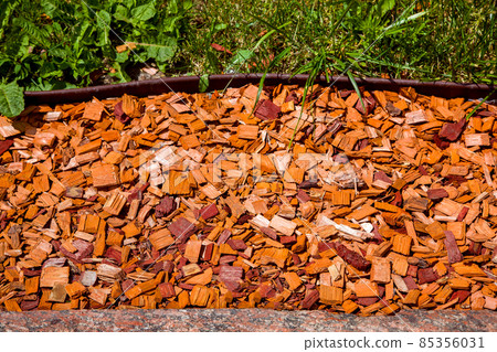 Coniferous pine mulch on the garden lawn. Beautiful landscape design with wooden chips on garden bed lit by sun light near green grass and stone curbe. 85356031