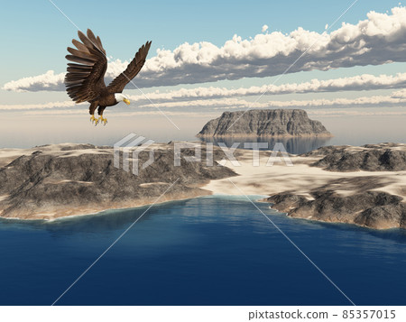 Sea eagle over the sea Sea eagle over the sea 85357015