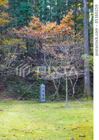 深秋橫川地區比叡山延歷寺、一念寺 深秋橫川地區比叡山延歷寺、一念寺 85360259