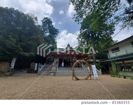 Fantastic morning at Kouiwa Shrine 85360355