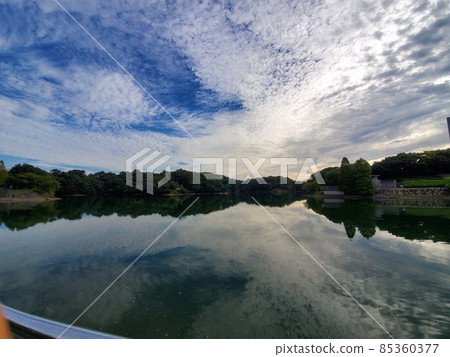 早晨自然豐富的公園 早晨自然豐富的公園 85360377