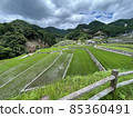 Rice terrace in Takeki district 85360491