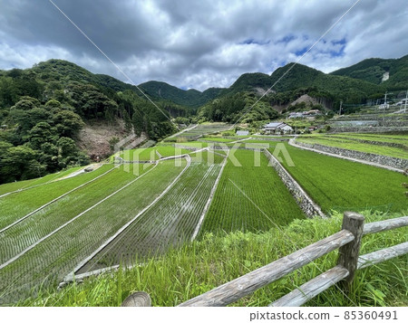 Rice terrace in Takeki district 85360491