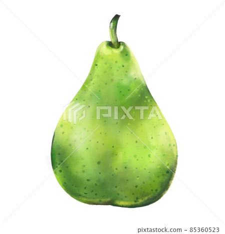 Ripe green pear on a white background.Hand drawn illustration Ripe green pear on a white background.Hand drawn illustration 85360523