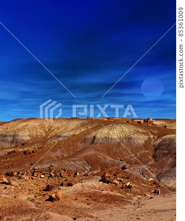Petrified Forest Arizona Petrified Forest Arizona 85361009