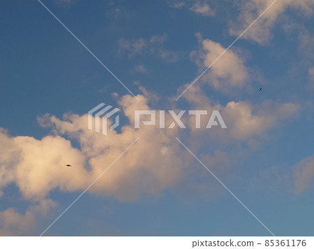 藍天和雲彩和鳥 85361176