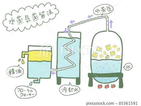 Refine aroma oil by steam distillation method (with explanation) Refine aroma oil by steam distillation method (with explanation) 85361591
